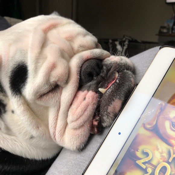 Meet your Posher, Jordynn - Picture 3 of 15